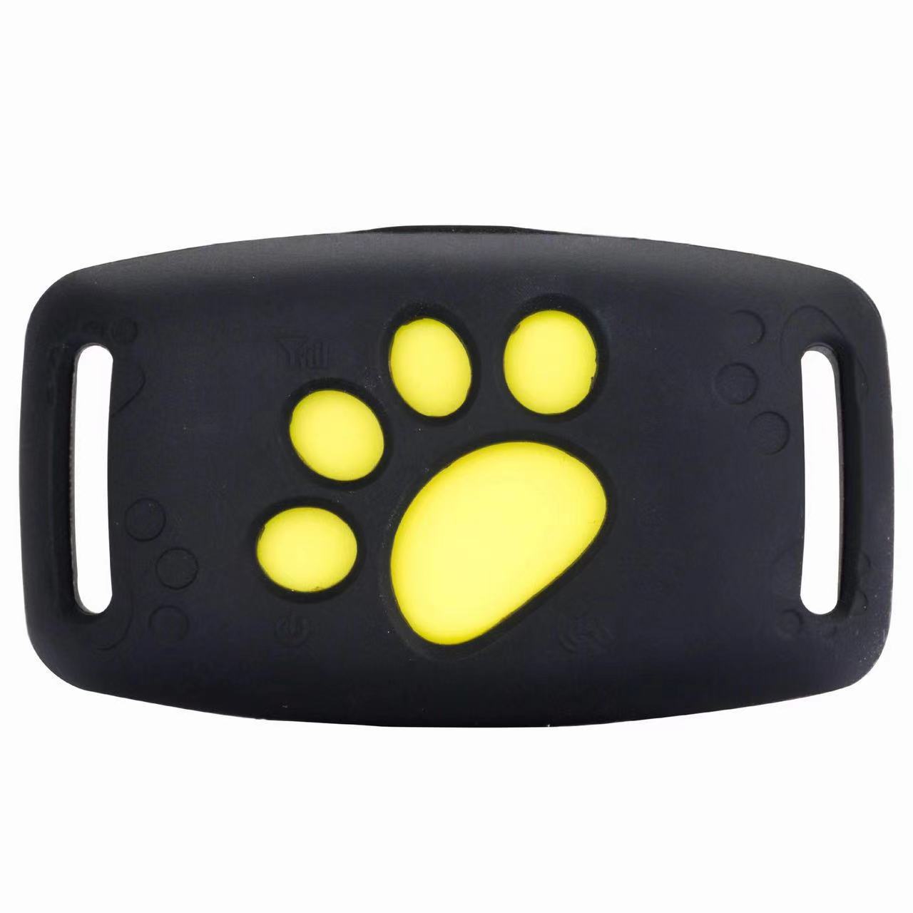 🐾 Noble Adventure Bundle™