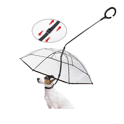 Umbrella dog leash
