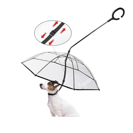 Umbrella dog leash