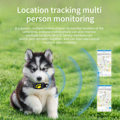 Noble Pet Safety Bundle