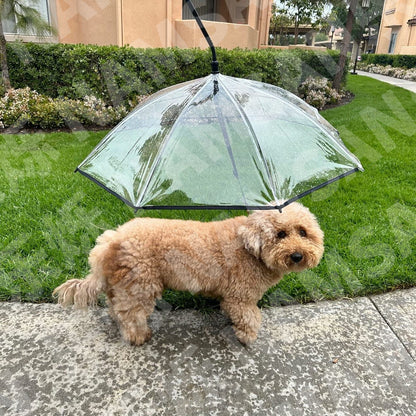 Umbrella dog leash