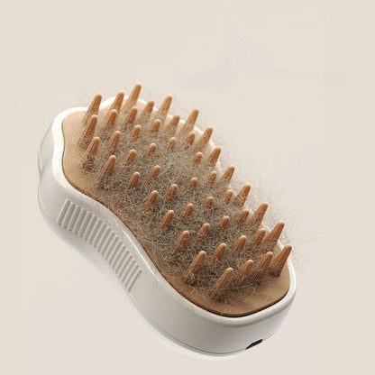 Electric Cat Steam Brush