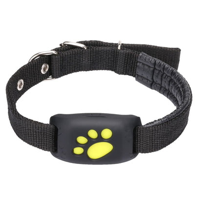 Noble Pet Safety Bundle