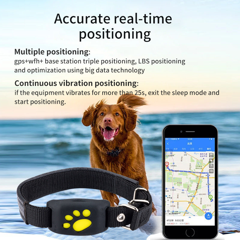 Noble Pet Safety Bundle
