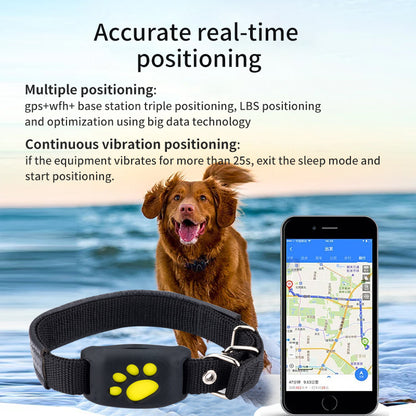 Noble Pet Safety Bundle